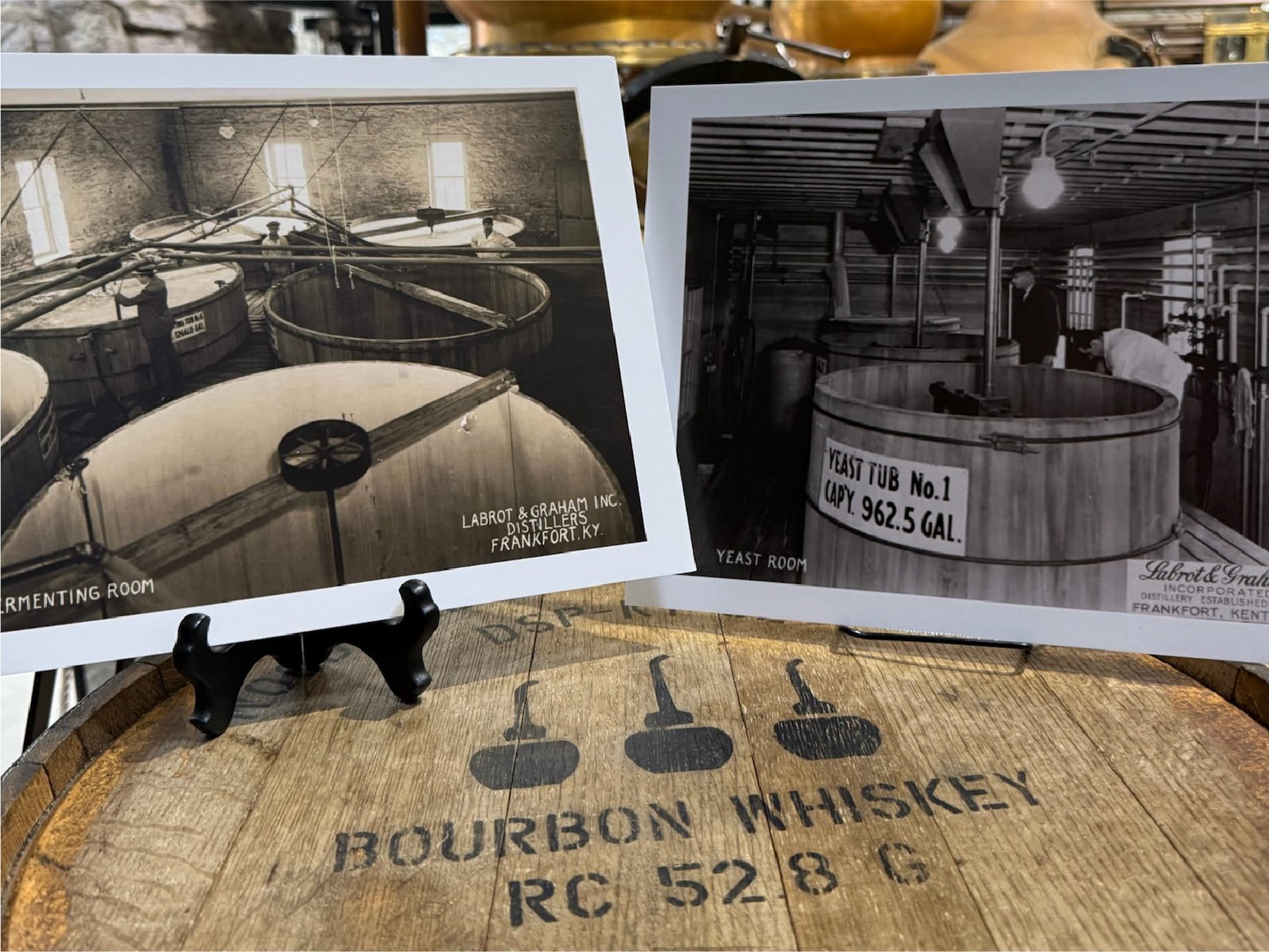 Historic Roots - Image 1